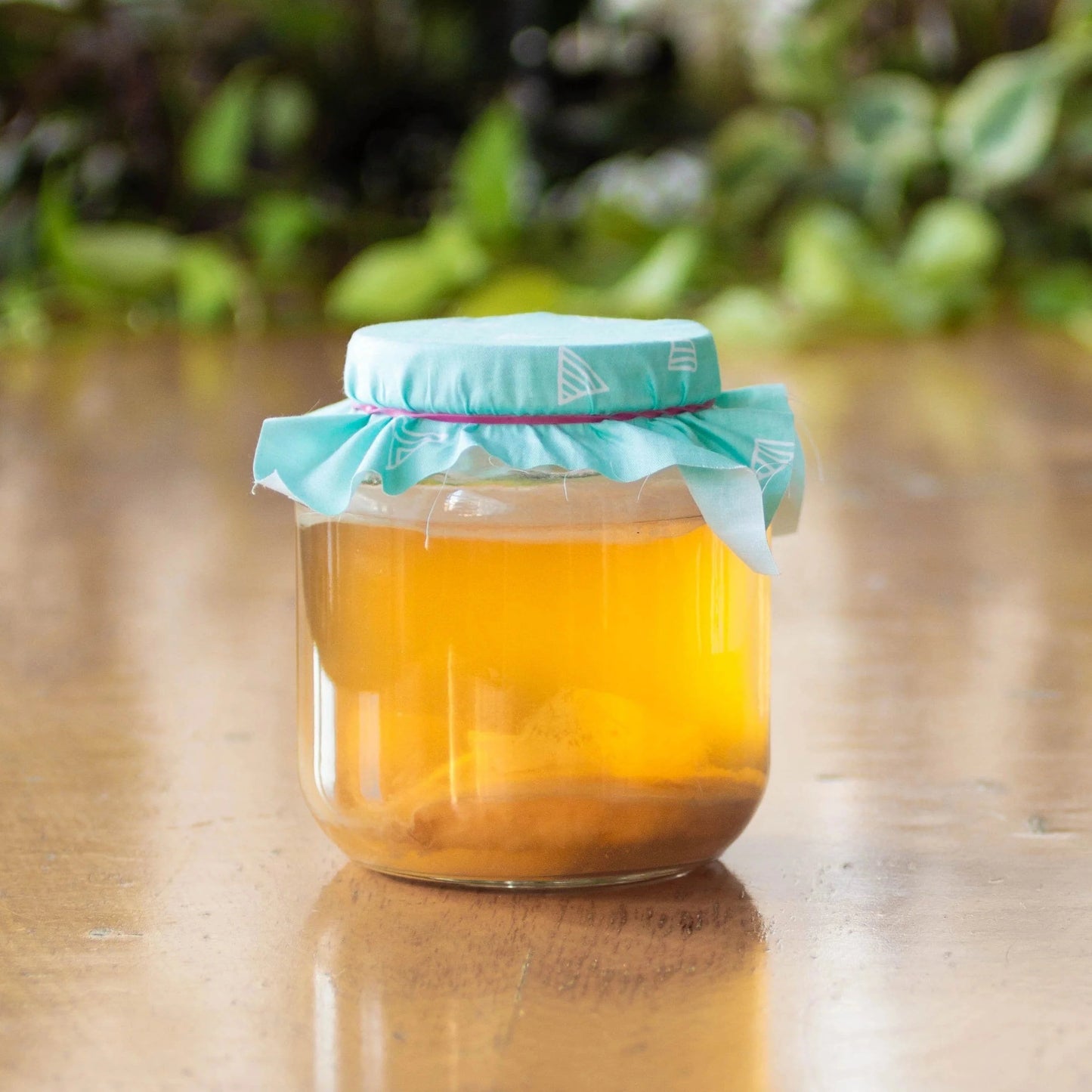 SCOBY-Live Culture (Pickup only)